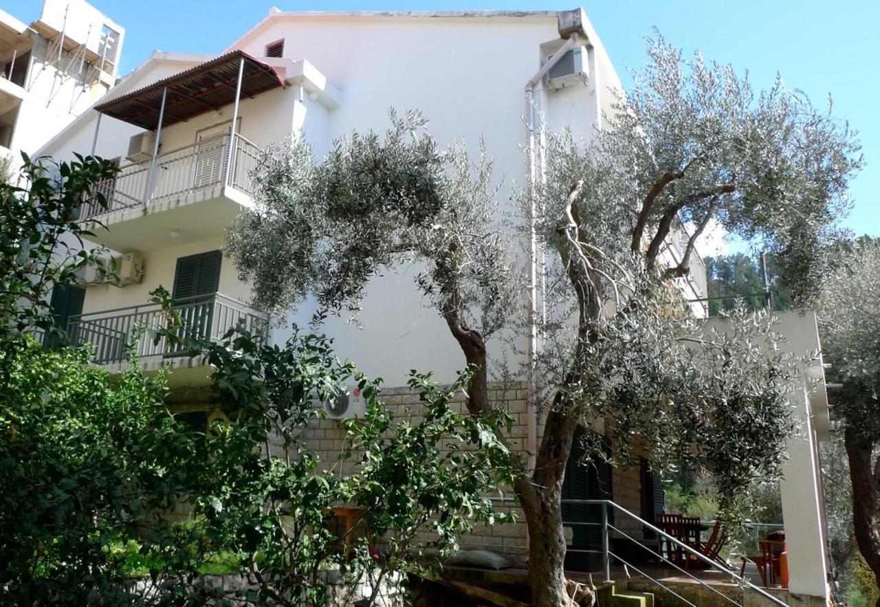 Apartments Maslina スヴェティ・ステファン エクステリア 写真
