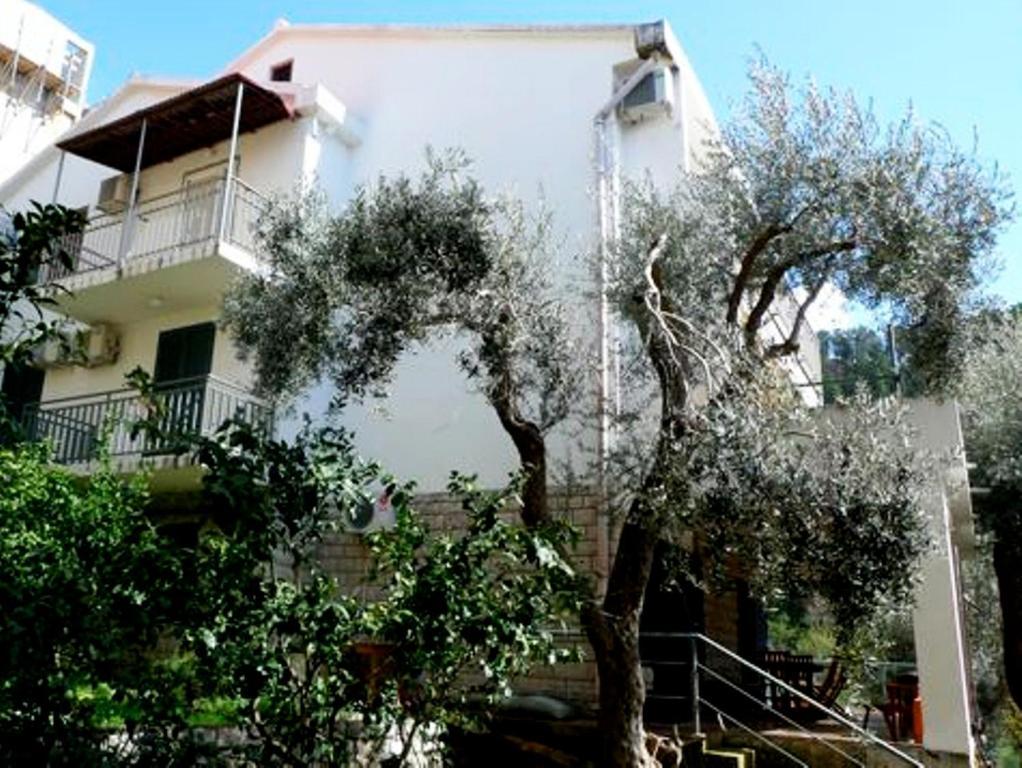 Apartments Maslina スヴェティ・ステファン エクステリア 写真